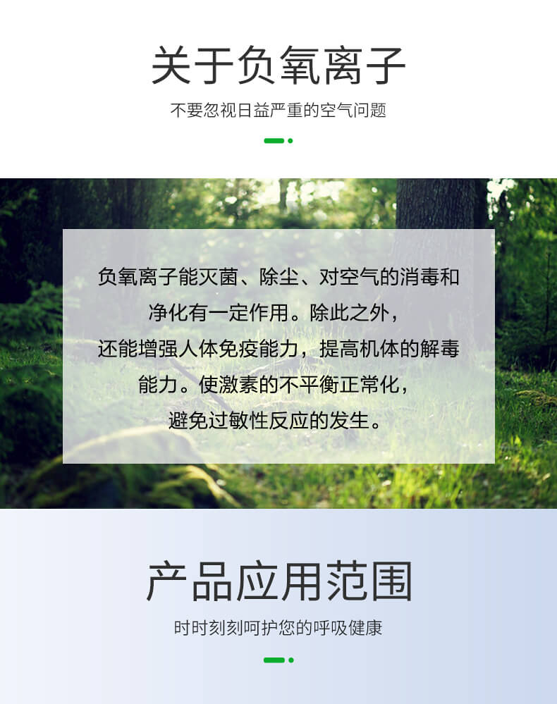 負(fù)氧離子檢測(cè)儀