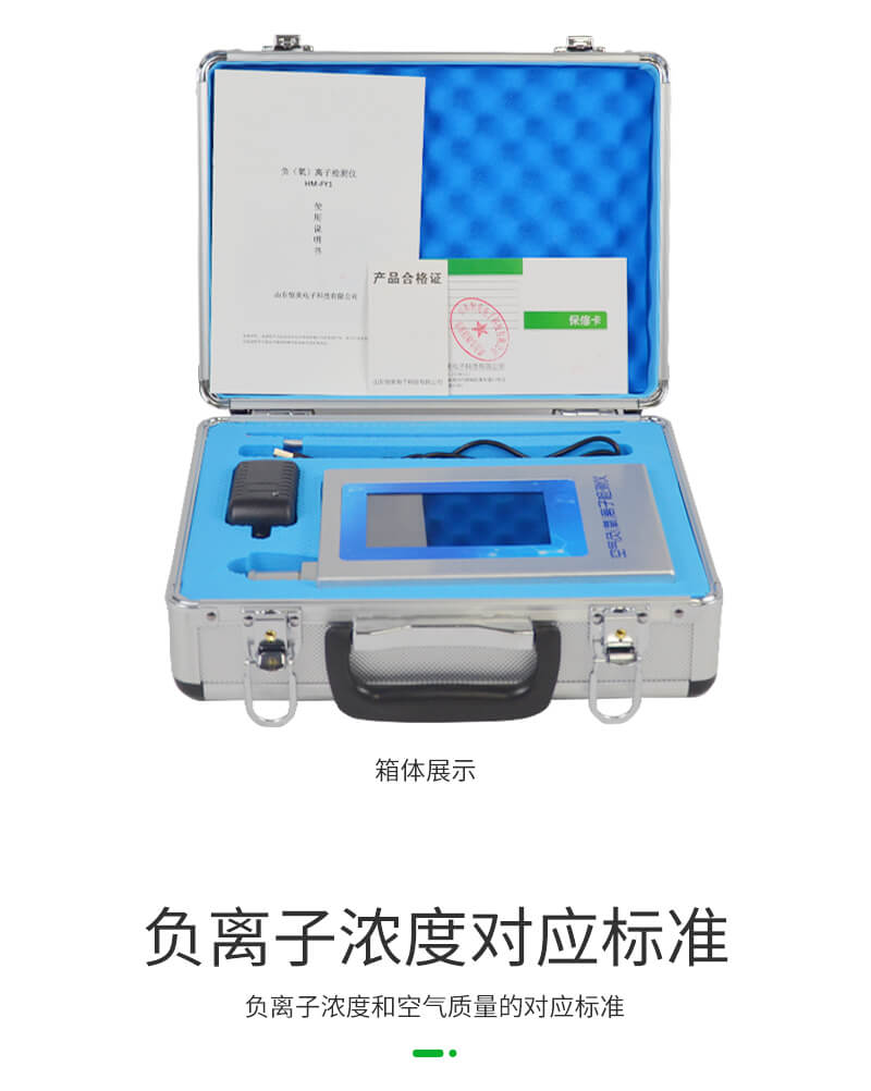 負(fù)氧離子檢測(cè)儀